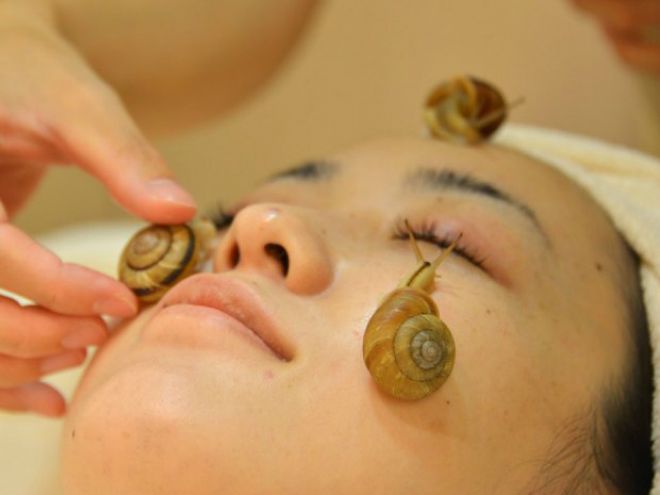 Masker dari Lendir Siput Laut Arktik: Nyata atau Imajinasi?