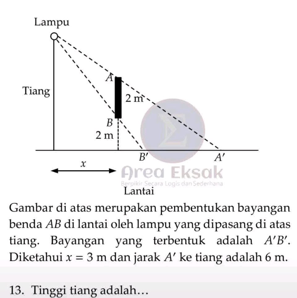 Wewangian dari Sisa Bayangan yang Tertinggal di Pasir